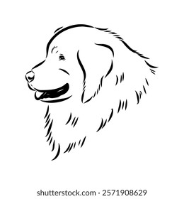 tornjac dog, vector, realistic vector sketch isolated on white