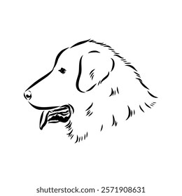 tornjac dog, vector, realistic vector sketch isolated on white