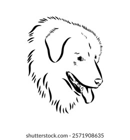 tornjac dog, vector, realistic vector sketch isolated on white