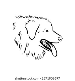 tornjac dog, vector, realistic vector sketch isolated on white