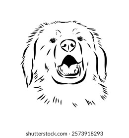 tornjac dog, vector, realistic vector sketch isolated on white