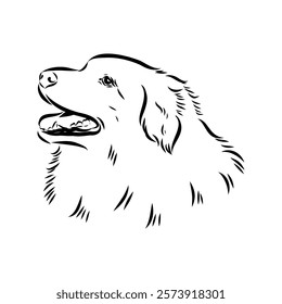 tornjac dog, vector, realistic vector sketch isolated on white