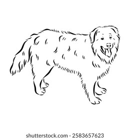 tornjac dog, vector, realistic vector sketch isolated on white