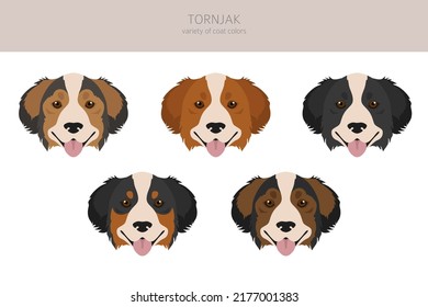 Tornjak clipart. Different poses, coat colors set.  Vector illustration