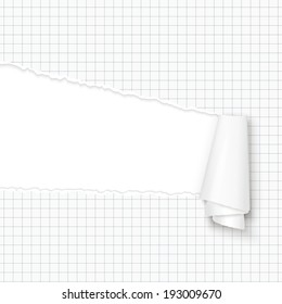 torn-paper with copy space
