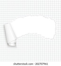 torn-paper with copy space