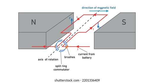 Torque on a current loop in a magnetic field. Rectangular coil placed in a magnetic field.