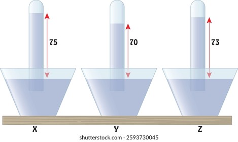 Torricelli Experiment, Water, Container (Chemistry Lesson), Visual, Water, Chemical Reaction, Element, Molecule, Chemistry Lesson, Chemistry, Experiment, Physics, Acid, Base, Solution, Temperature, Be