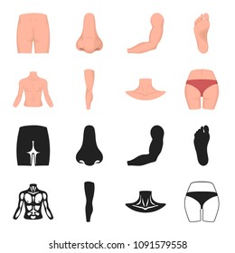 Torso, leg, neck and buttocks. Body parts set collection icons in black,cartoon style vector symbol stock illustration web.