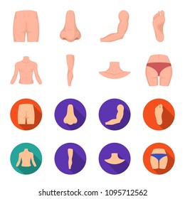 Torso, leg, neck and buttocks. Body parts set collection icons in cartoon,flat style vector symbol stock illustration web.