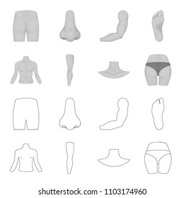 Torso, leg, neck and buttocks. Body parts set collection icons in outline,monochrome style vector symbol stock illustration web.