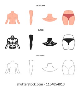 Torso, leg, neck and buttocks. Body parts set collection icons in cartoon,black,outline style vector symbol stock illustration web.