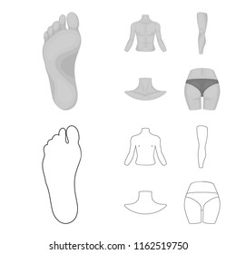 Torso, leg, neck and buttocks. Body parts set collection icons in outline,monochrome style vector symbol stock illustration web.