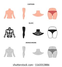 Torso, leg, neck and buttocks. Body parts set collection icons in cartoon,black,monochrome style vector symbol stock illustration web.