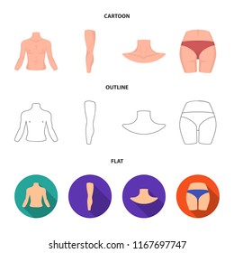Torso, leg, neck and buttocks. Body parts set collection icons in cartoon,outline,flat style vector symbol stock illustration web.