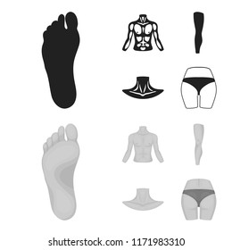 Torso, leg, neck and buttocks. Body parts set collection icons in black,monochrome style vector symbol stock illustration web.