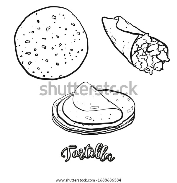 Tortilla food sketch separated on white. Vector\
drawing of Flatbread, usually known in Mexico. Food illustration\
series.