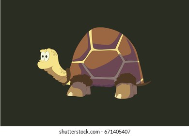 tortoise 