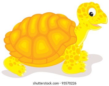 Tortoise