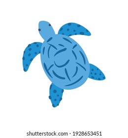 Tortoise animal design Sea life ecosystem fauna and ocean theme Vector illustration