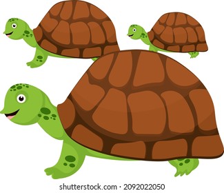 Tortoise animal, illustration, vector on a white background.