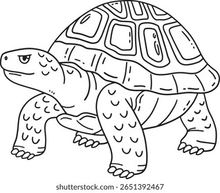 Tortoise Animal Isolated Coloring Page for Kids 