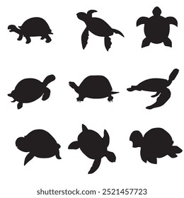 Tortoise animal silhouettes on white background