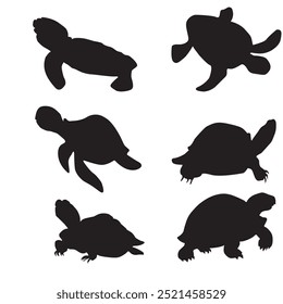 Tortoise black silhouette on white background