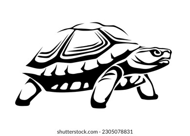 Tortoise. Ilustración en blanco y negro de una tortuga aislada en un fondo blanco. Ilustración del vector