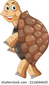 Tortoise with brown shell cartoon character illustration