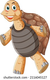 Tortoise mit brauner Muschelkartographie