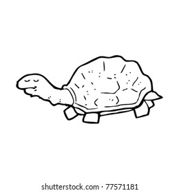 tortoise cartoon