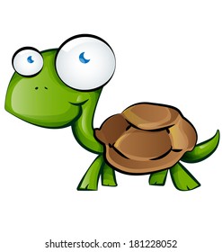 tortoise cartoon on white backgrond