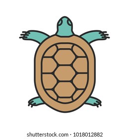 Tortoise color icon. Turtle. Isolated vector illustration