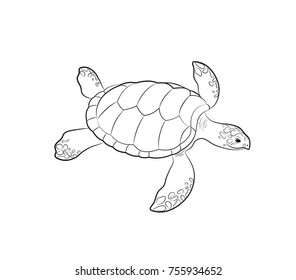 Turtle Seamless Pattern Stock Vector (Royalty Free) 122749318