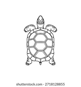 «Tortoise Flat Vector Icon – Reptile Wildlife Animal Illustration».