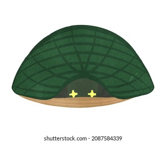 A tortoise hiding in a shell