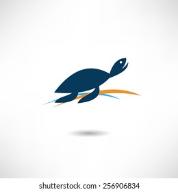 Tortoise icon