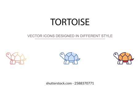 Tortoise icon design with white background stock illustration