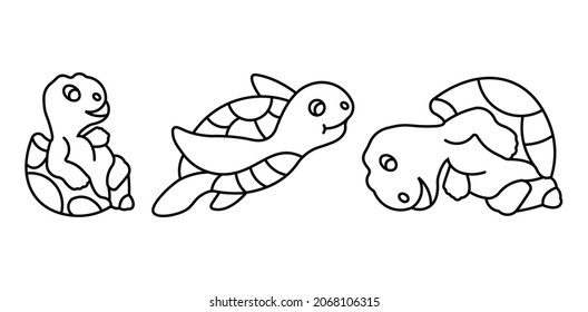 tortoise icon set  in different style vector illustration,turtle vector icons set designed 