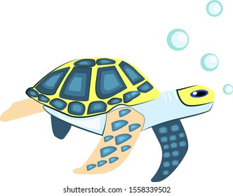 Tortoise, illustration, vector on white background.