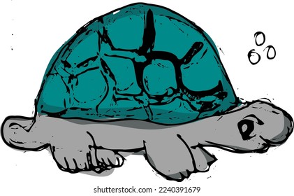 Tortoise Isolated Animal Cartoon Vector