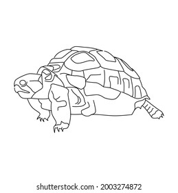 Tortoise Line Drawing Clip Art 