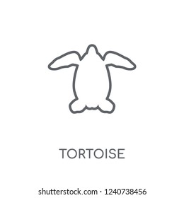 Tortoise linear icon. Modern outline Tortoise logo concept on white background from animals collection. Suitable for use on web apps, mobile apps and print media.