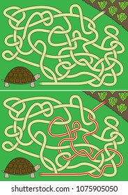 Tortoise maze for kids with a solution