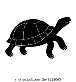 Tortoise moves slowly and calmly. Turtle moves quickly and smoothly. Tortoise stays on dry ground. Turtle swims through water. Turtle outline is light and graceful. 