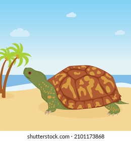 Tortoise on sea shore vector illustration