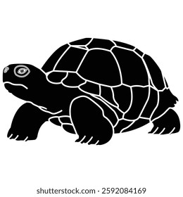 Tortoise outline vector illustration art book design black and white