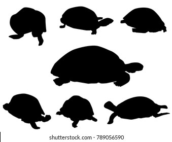 Tortoise Set
Tortoise Set Is A Different Poses Tortoise Silhouette Set. It's A Vector Illustration.