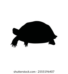 tortoise silhouette collection isolated black on white background vector illustration